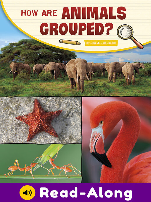 Cover image for How Are Animals Grouped?